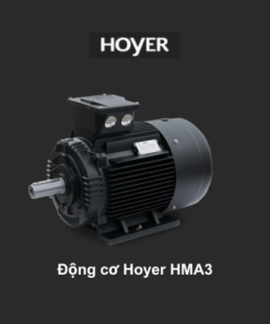 Động cơ Hoyer HMA3