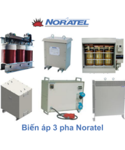 Biến áp 3 pha Noratel