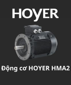 Động cơ HOYER HMA2