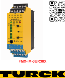 Bộ xử lý tín hiệu TURCK FMX-IM-3UR38X