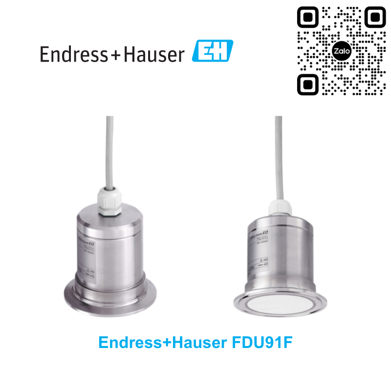 Cảm biến đo mức Endress+Hauser FDU91F