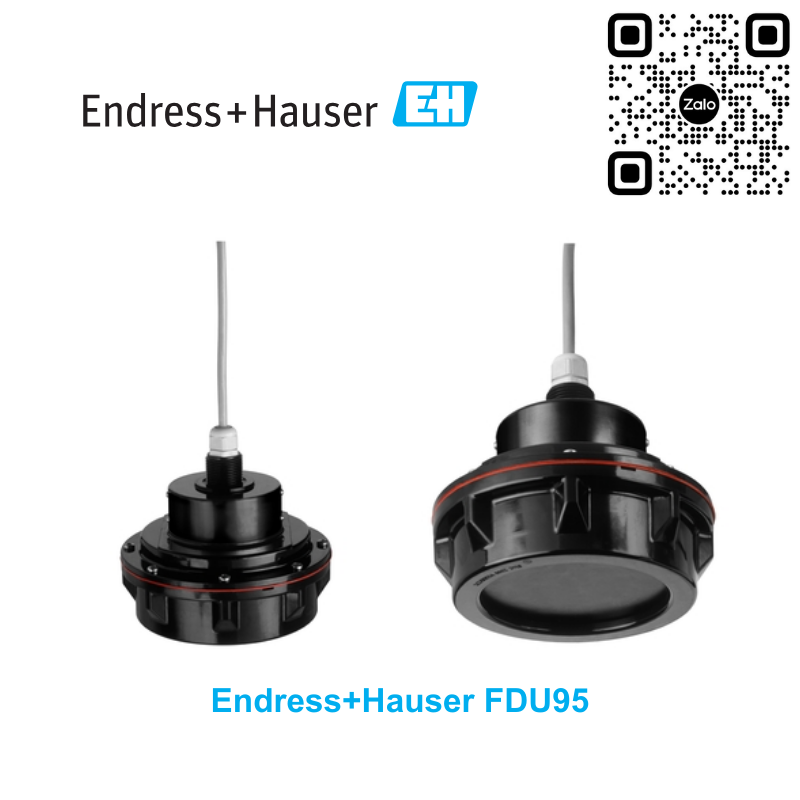 Cảm biến đo mức Endress+Hauser FDU95