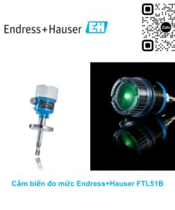 Cảm biến đo mức Endress+Hauser FTL51B