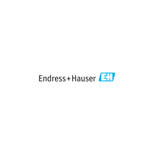 Đại lý Endress+Hauser Vietnam