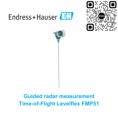 Cảm biến báo mức Endress Hauser FMP51