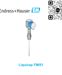 Cảm biến báo mức Endress Hauser FMI51