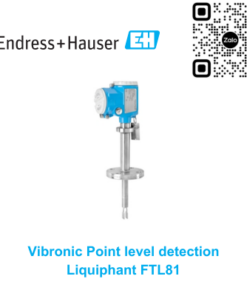 Công tắc báo mức Endress Hauser FTL81-XXSAXAA1ABJXXX