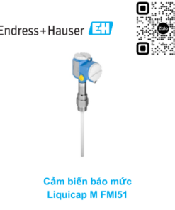 Cảm biến báo mức Endress Hauser FMI51-A1AGDJA1A1A