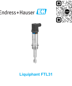 Công tắc báo mức Endress Hauser FTL31-1395/0