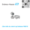 Cảm biến đo chênh áp Endress Hauser Deltabar FMD78