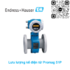 Đồng hồ đo lưu lượng Endress Hauser 51P15