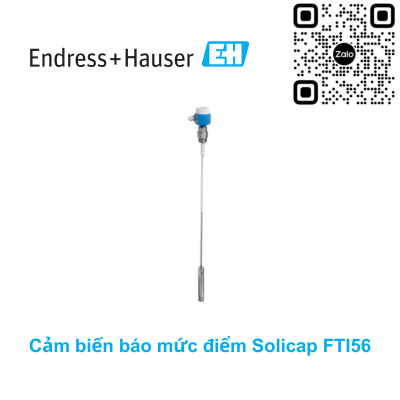 Cảm biến báo mức điểm Endress Hauser FTI56-AAA2RVJ43A1A
