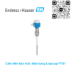 Cảm biến báo mức điện dung Endress Hauser FTI51-AAB2GGJ33A1A