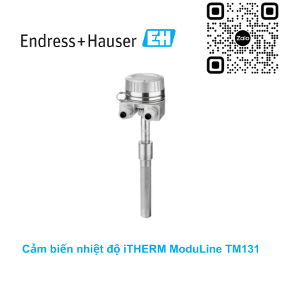 Cảm biến nhiệt độ Endress Hauser TM131-AABBCCC1BA4AGAC0AA1AA1-NQ
