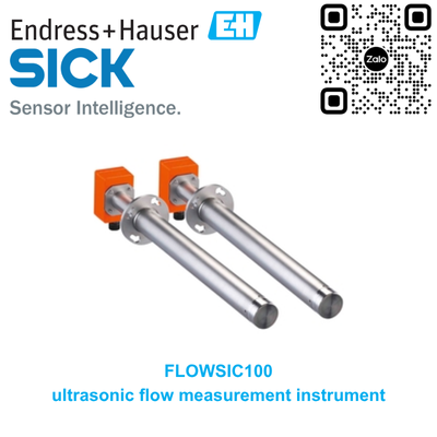 Thiết bị đo lưu lượng khí thải Endress Hauser FLOWSIC100 FLSE100